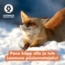 Annetusüleskutsed.png