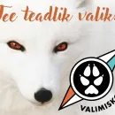 valgekompass.jpg