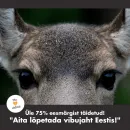 Loomus IG - vibujaht(1).png