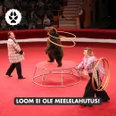 Loomus IG 3(1).png