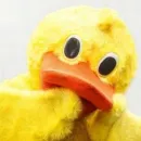 piilupai.jpg