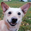   Baxter 