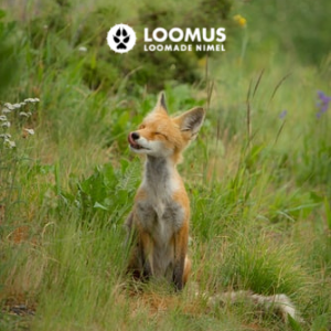 MTÜ Loomus projekt "Olen loomade poolt”