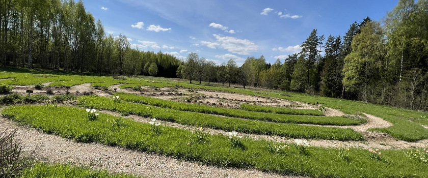 Maarja Küla: aita toetada vaimset tervist! 