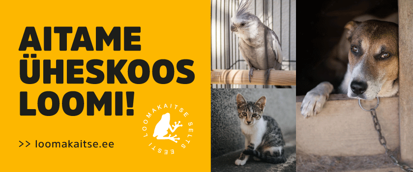 Эстонское общество защиты животных: давайте вместе поможем животным Эстонии!