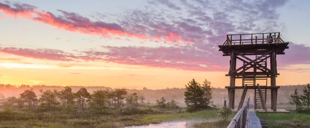 Valluta Eesti linnuvaatlustornid!