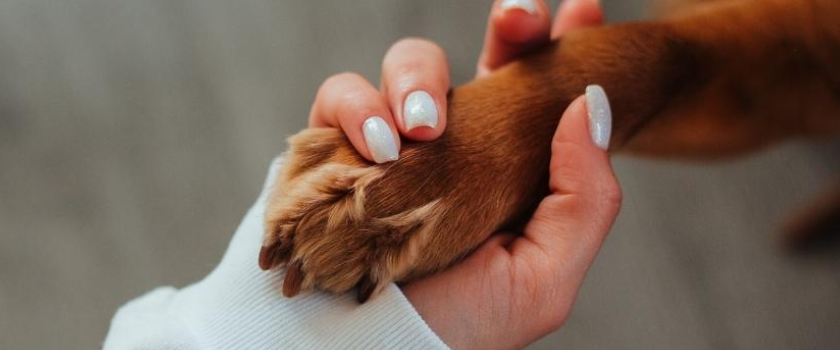 Steps that need support