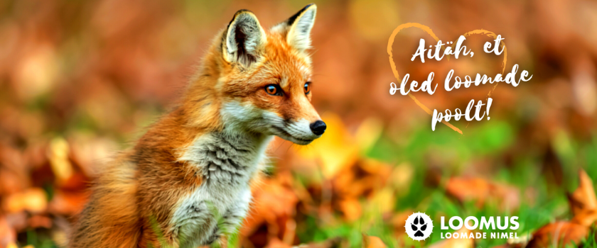 Aita anda loomadele hääl!