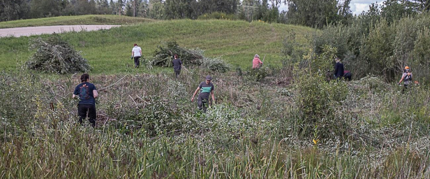 Estonian Fund for Nature: Help us preserve Estonia’s nature!