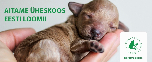 Estonian Animal Society: Let’s help Estonia’s animals!