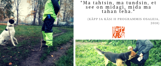 НКО «Лапа и рука» (MTÜ Käpp ja Käsi): Люди, содержащиеся в тюрьме, тренируют бездомных собак 