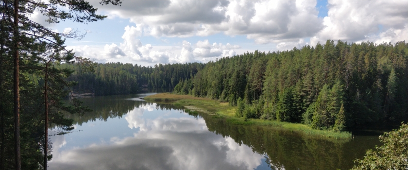 Estonian Green Movement: Stand Up for the Environment with Us!