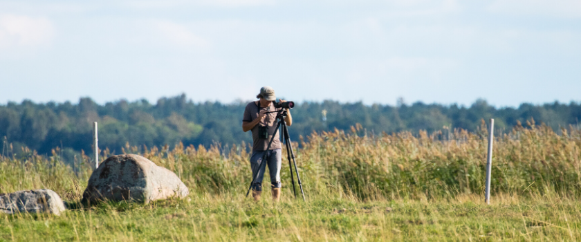 Estonian Ornithological Society: For Estonian birds!