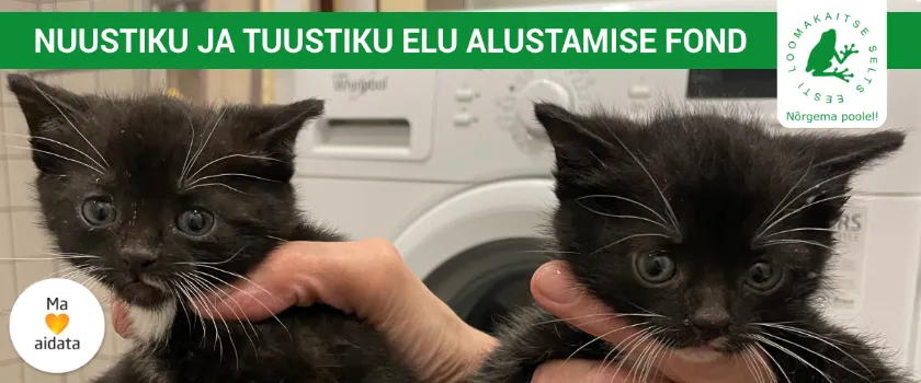 Aita Nuustikul ja Tuustikul elu alustada